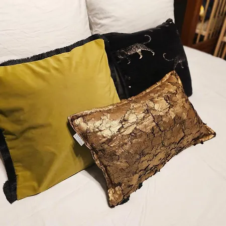 Apartment Haussamn Walk Tour Eiffle Trocadero 3minutes Paris